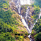 1617459832 goa1.png?w=60&h=60&dpr=1
